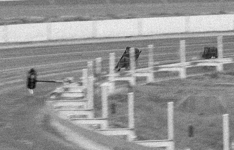 greyhound running